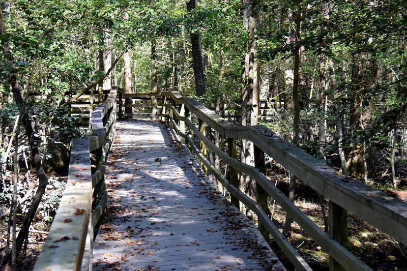 Sometimes the boardwalk is not level.  Use caution.