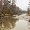 The swampy marshland at Theodore Roosevelt Island.