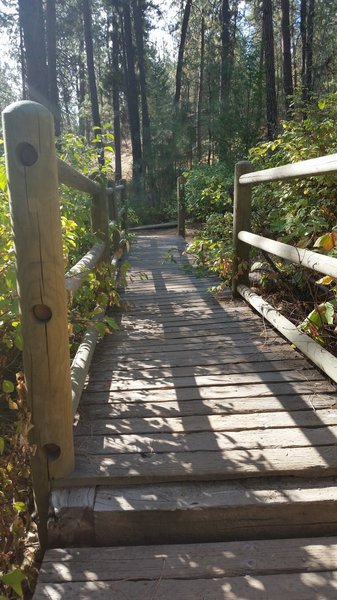 A bridge will take visitors over the Goldback Springs.