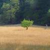 Thomas Homestead was once an native American settlement, and now offers an excellent place to take a short break.