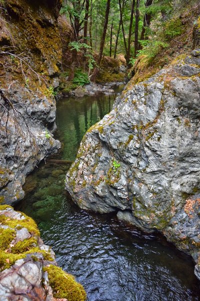 The deep pristine gorges of Mule Creek never cease to amaze.