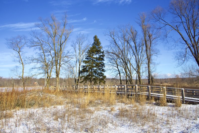 Winter view of the Great Marsh overlook.