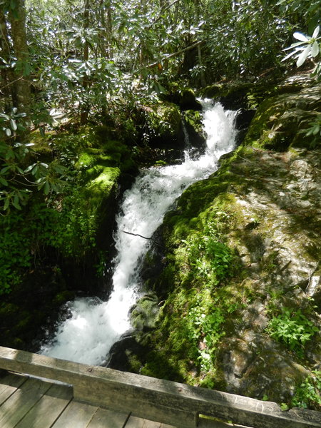 Huskey Branch Falls tumbles under the footbridge into Little River.