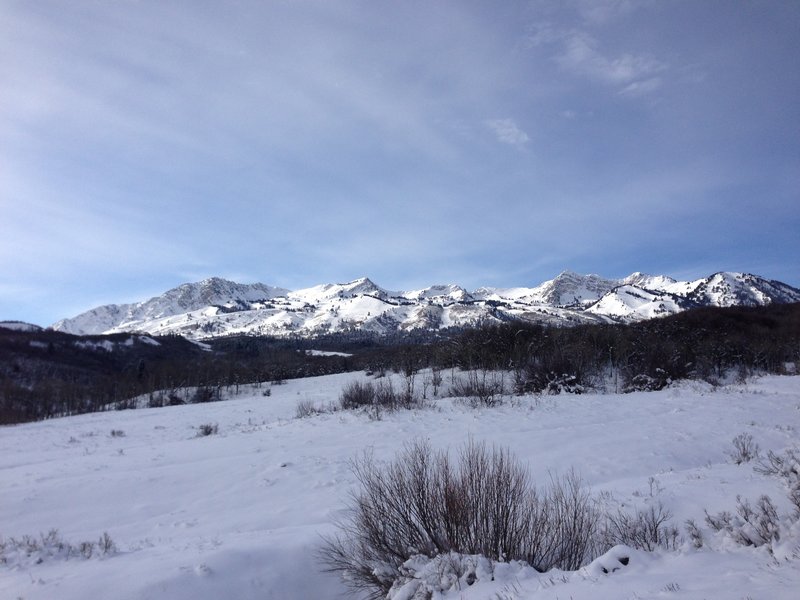 Looking west toward Snowbasin off the East Fork Trail.