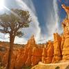 Bryce Canyon Navajo Loop.