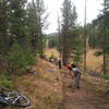 Volunteers rerouting the Fenceline Trail.