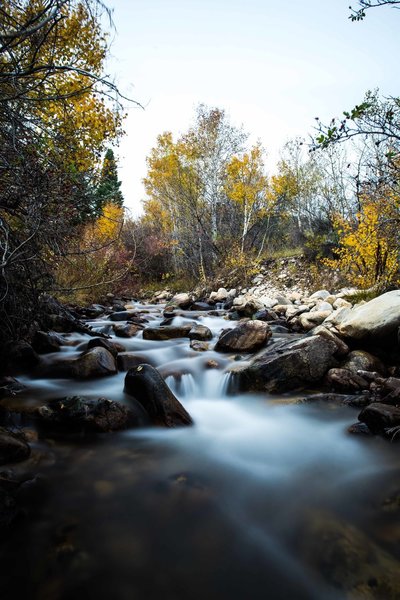 Baker Creek in the Autumn.