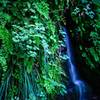 There is a secret waterfall on your left if you take the trail from the Temple of Sinawava to the Weeping Rock.