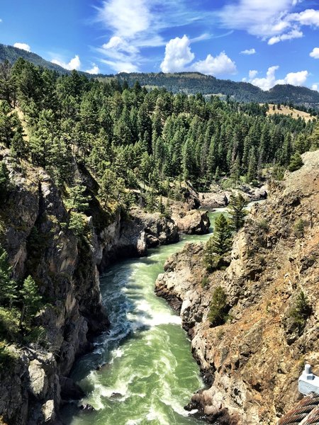 Yellowstone gorge looking west from the suspension bridge on Hellroaring Creek Trail.