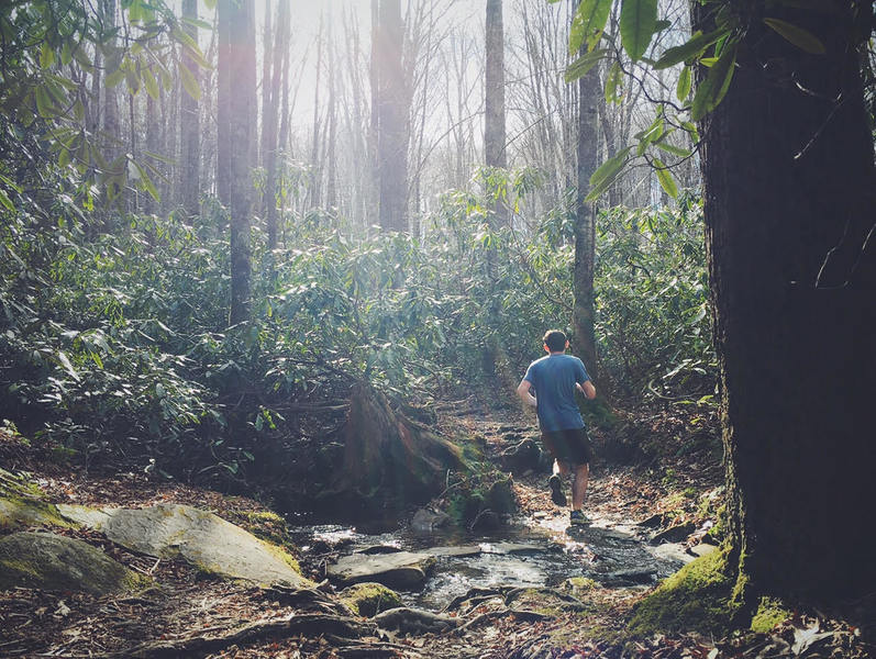 One of the numerous Bee Tree Creek crossings on the Boone Fork Loop.