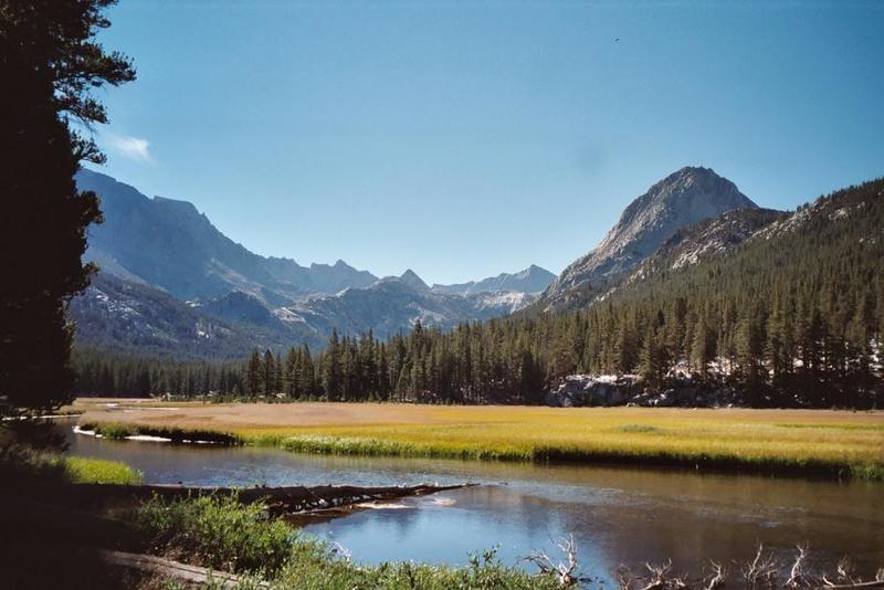 McClure Meadow.