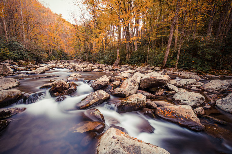 Seen on the way to Ramsey Cascades in late October © Ryan Jones