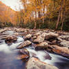 Seen on the way to Ramsey Cascades in late October © Ryan Jones