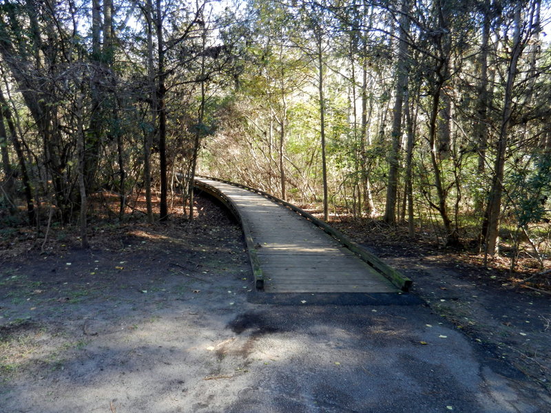 Short boardwalk for part of the loop.