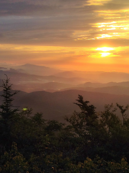 Morning glory on the Black Mountain Crest Trail.