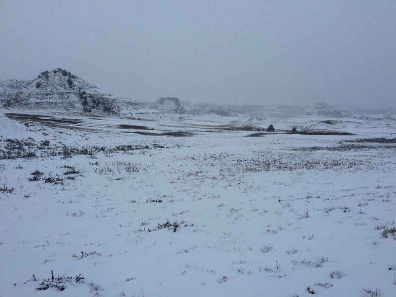 View from Upper Talkington in December, the dots in distance are elk.