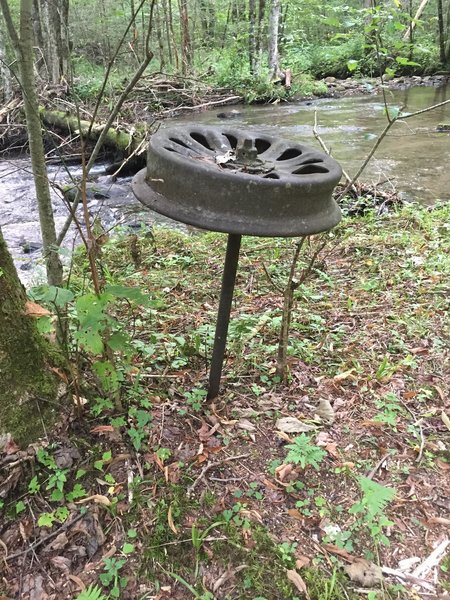 Reminders of old logging railroad That ran through Bone Valley