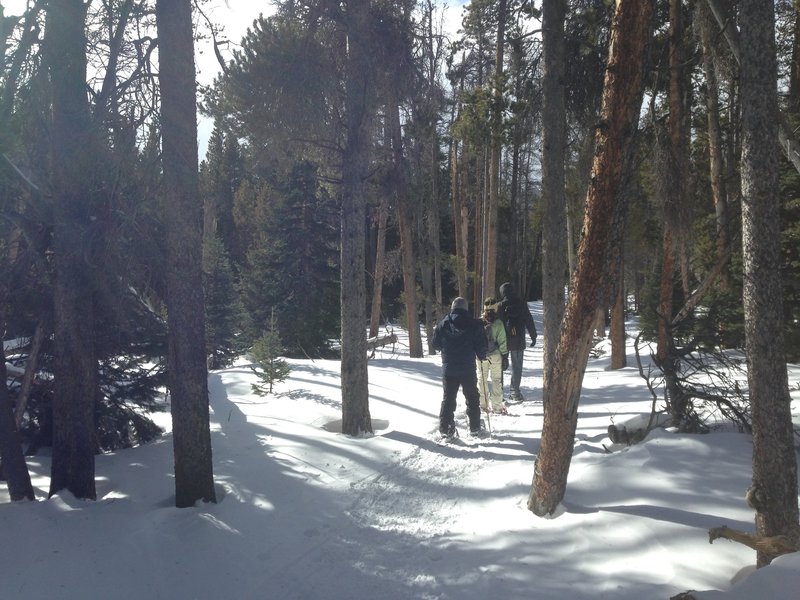 The trail around the lake is forested and makes a great snowshoe on windy days.