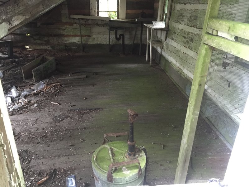 High Rocks firetower caretaker's cabin - interior (shot through window - unsafe to enter).