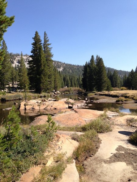 The Tuolumne River in Tuolumne Meadows!