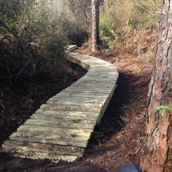 Elevated wooden boardwalk.