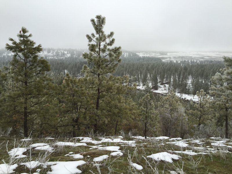 Views from Water Tower Hill above Spokane River.