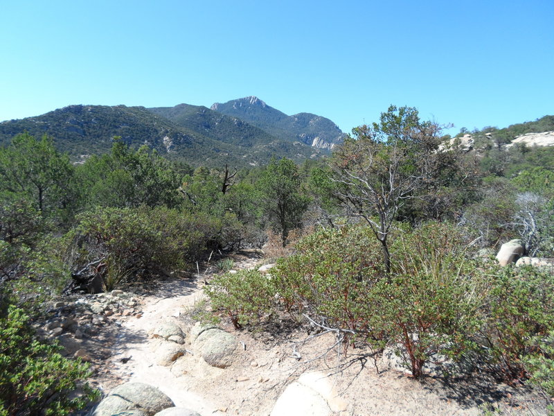 Looking at Rincon Peak from the start of the trail, near Happy Valley Campground.