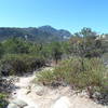 Looking at Rincon Peak from the start of the trail, near Happy Valley Campground.