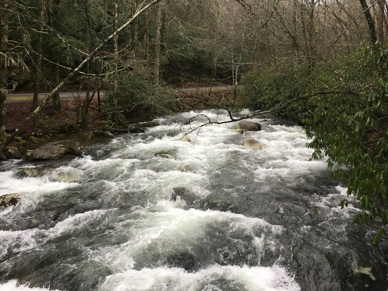 The Oconaluftee River running under the bridge as you leave the trailhead.