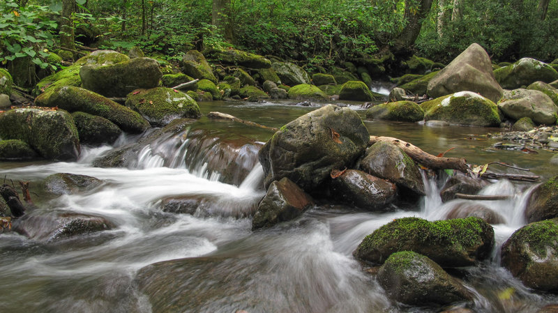 Mossy rocks in the river.