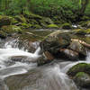 Mossy rocks in the river.