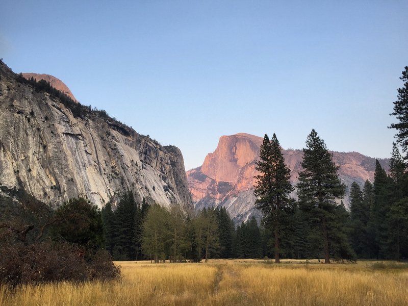 Alpenglow on Half-Dome from Ahwahnee Meadow - Yosemite