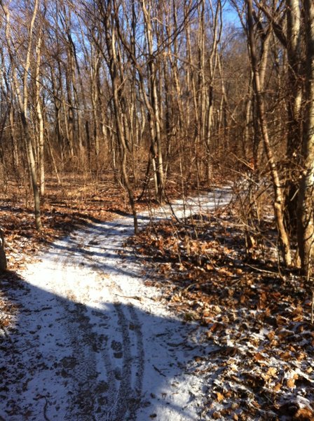 The trail after a light snow