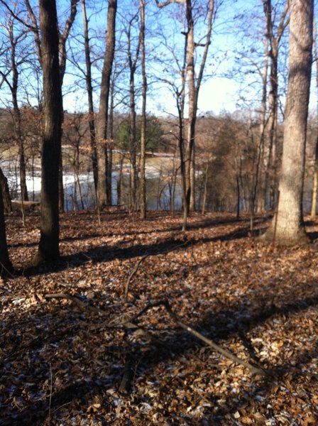 A view of Betty's lake through the trees.