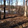 A view of Betty's lake through the trees.