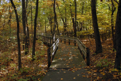 Fall colors on the Calumet Dunes Paved Trail.