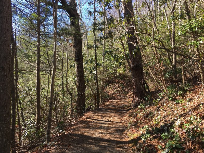 Laurel Falls Trail once you are past the falls.   Not a lot of people, quiet hike.