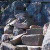 Stone steps climbing up the beehive.   In icy conditions, this could prove to be a problem.