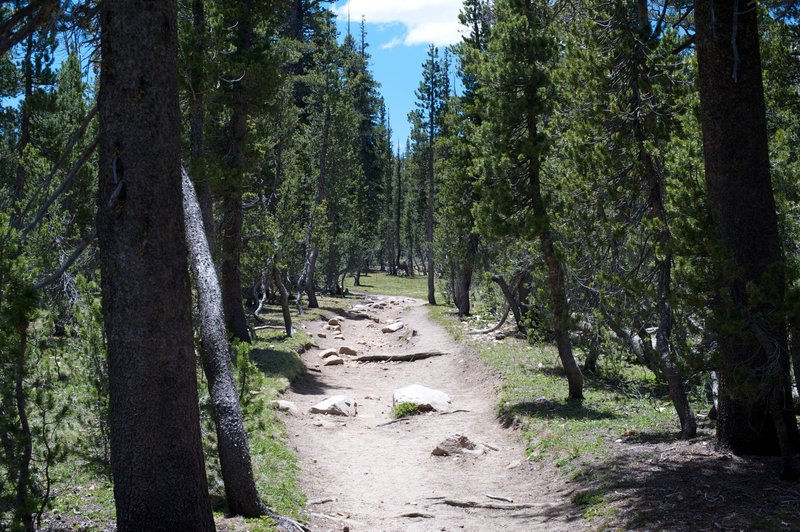 Trail headed toward Elizabeth Lake.