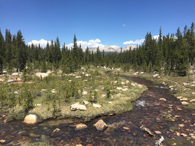 Unicorn Creek flowing out of Elizabeth Lake and toward the Tuolumne River.