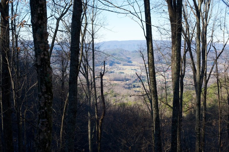 View into Wears Valley from Little Brier Gap