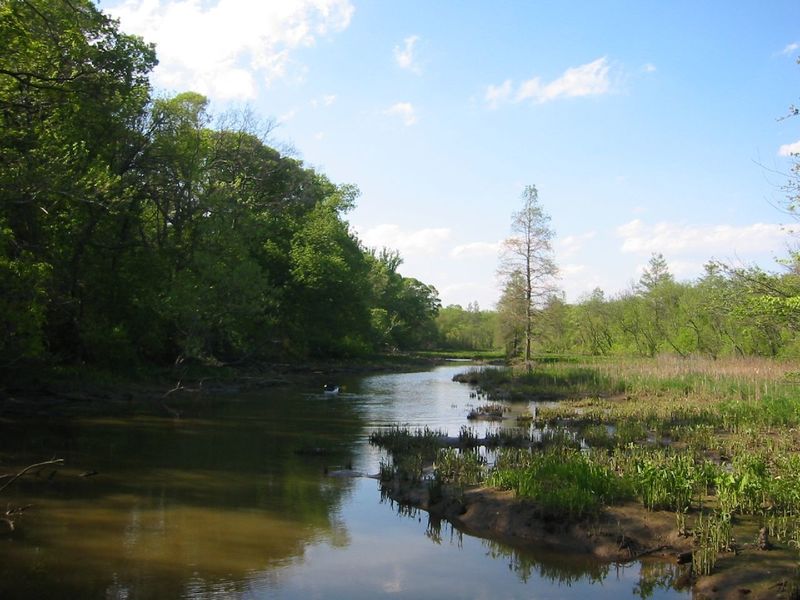 Theodore Roosevelt Island scene