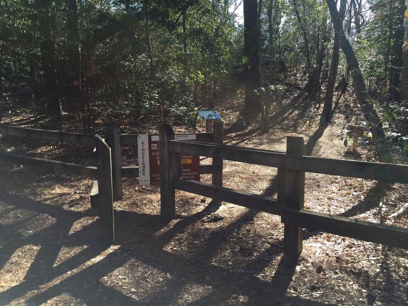 Beginning of Kingfisher Trail from the Cape Henry Trail.