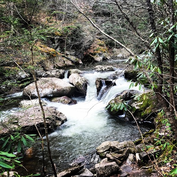 Whitetop Laurel Creek