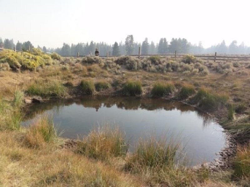 Fenced in Sand Spring - please treat all water sources.