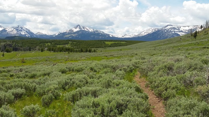 Backside of bunsen peak trail.