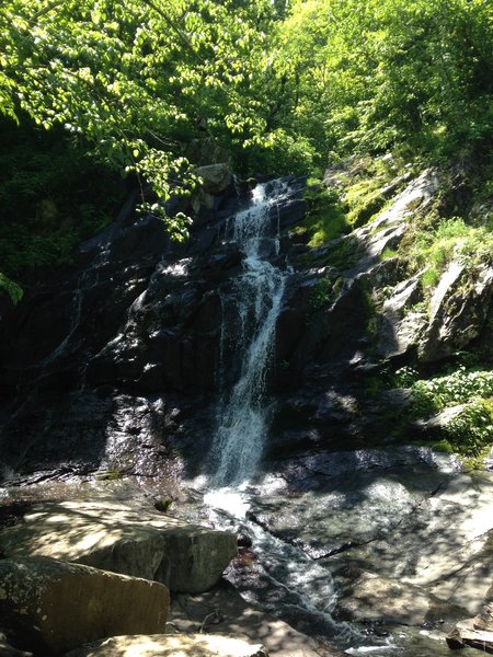 Jones Run Falls.