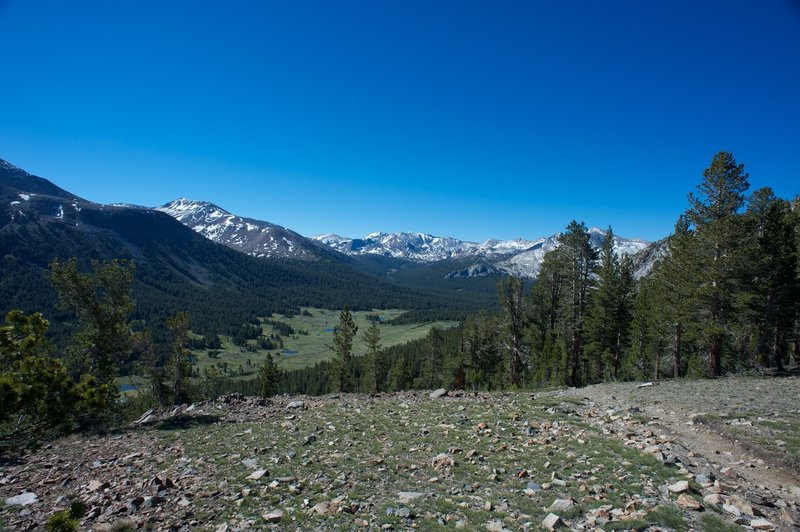 A view of Dana Meadows and surrounding peaks from the saddle of Gaylor Peak.