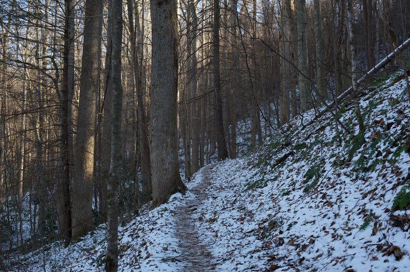 Cucumber Gap trail as it narrows and begins the steady climb uphill.