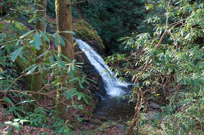 Small cascade on Meigs Creek alongside the trail.